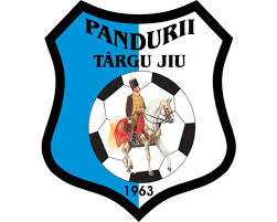 MĂSURI DE ORDINE PUBLICĂ LA MECIUL DE FOTBAL   C.S. Pandurii Tg. Jiu – C.S.M.S. Iaşi
