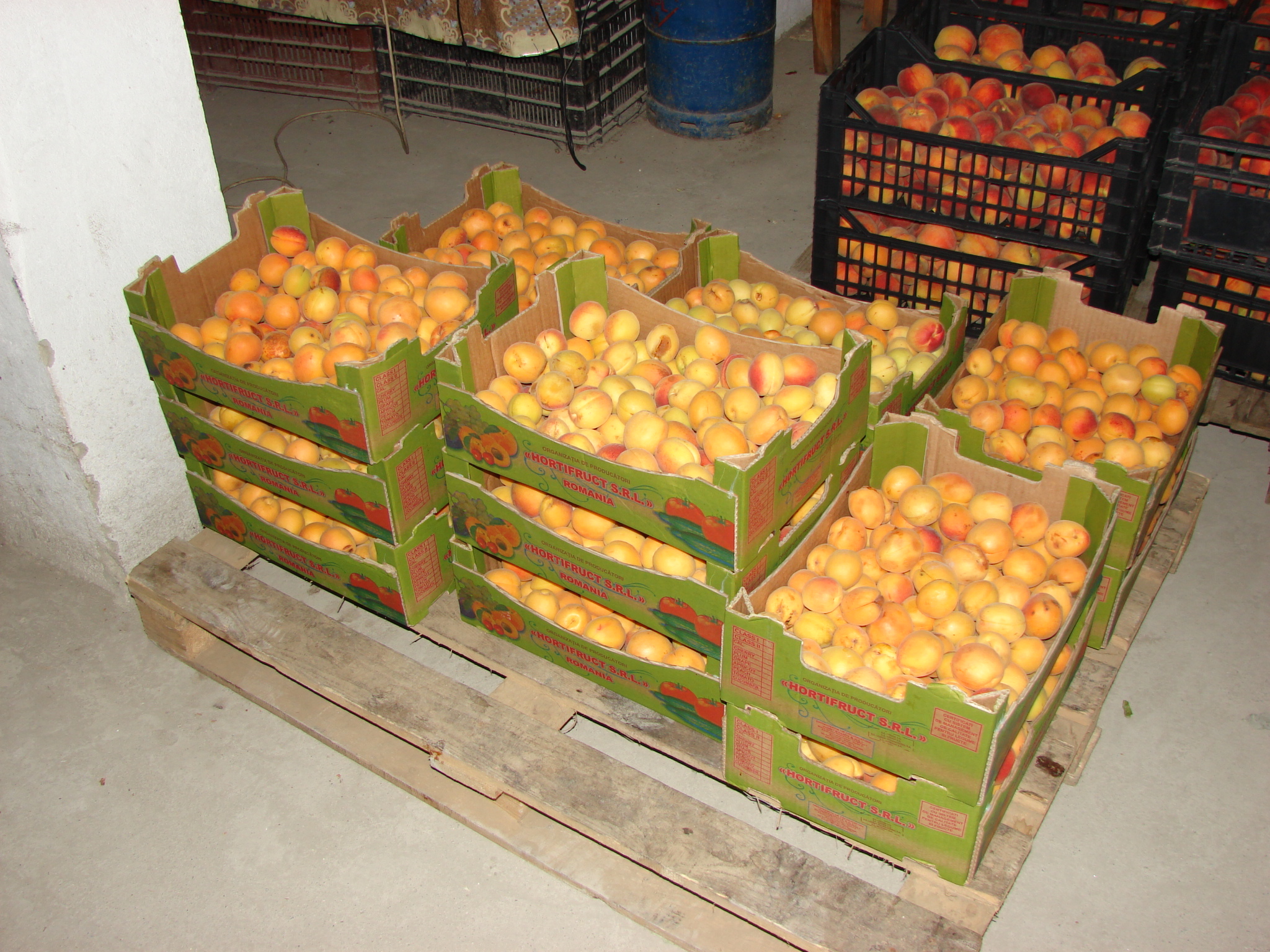 Peste o tonă de fructe şi legume confiscate de poliţişti în cadrul acţiunii “Blocada 2015”