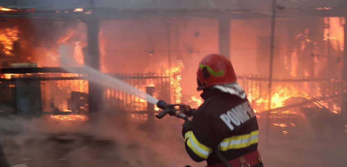 Incendii puternice de vegetatie in județul Mehedinți. Gospodării din zona Dumbrava afectate