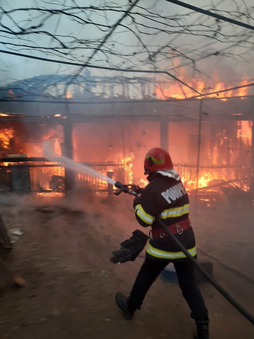 Incendii puternice de vegetatie in județul Mehedinți. Gospodării din zona Dumbrava afectate