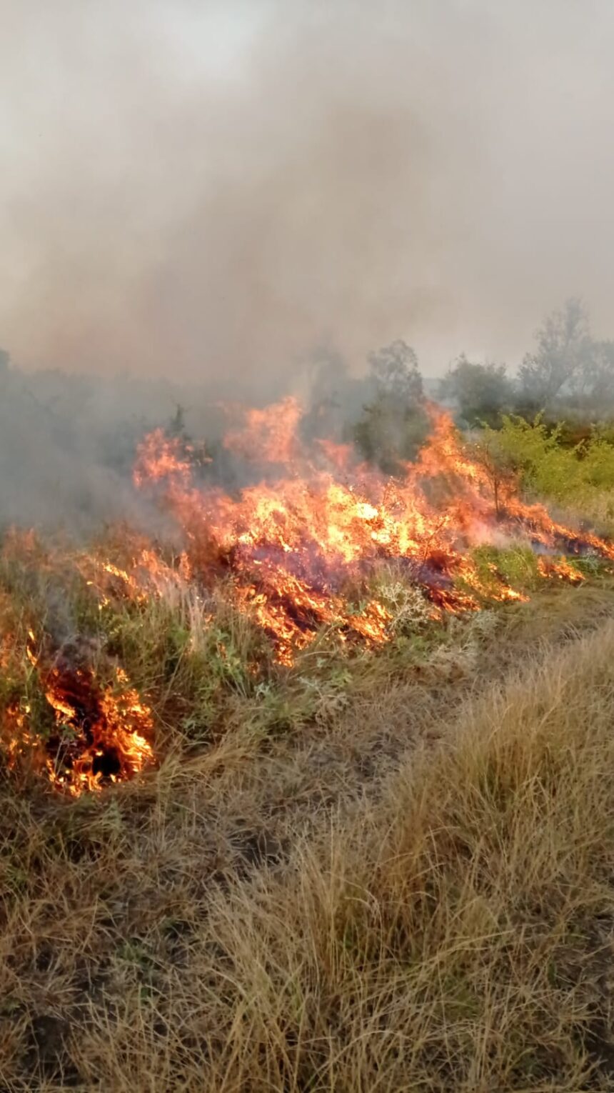 Incendiile continuă în Mehedinți