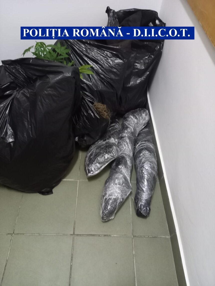 ARESTAȚI PENTRU TRAFIC DE DROGURI DE RISC